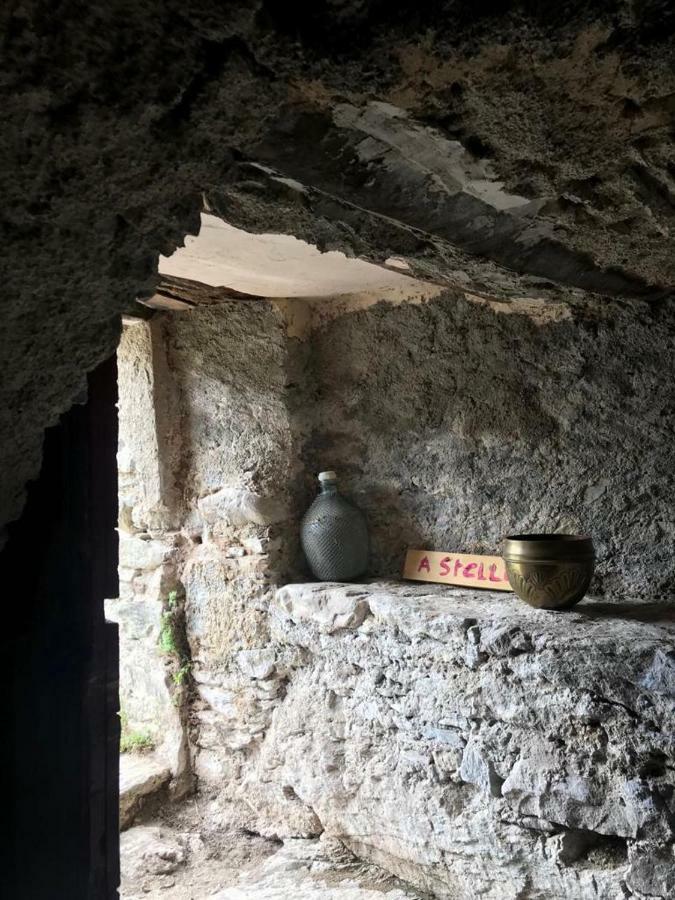 ,A Cantinella, Une Cave A Fromage Au Centre Corse Santa-Lucia-di-Mercurio Exterior photo